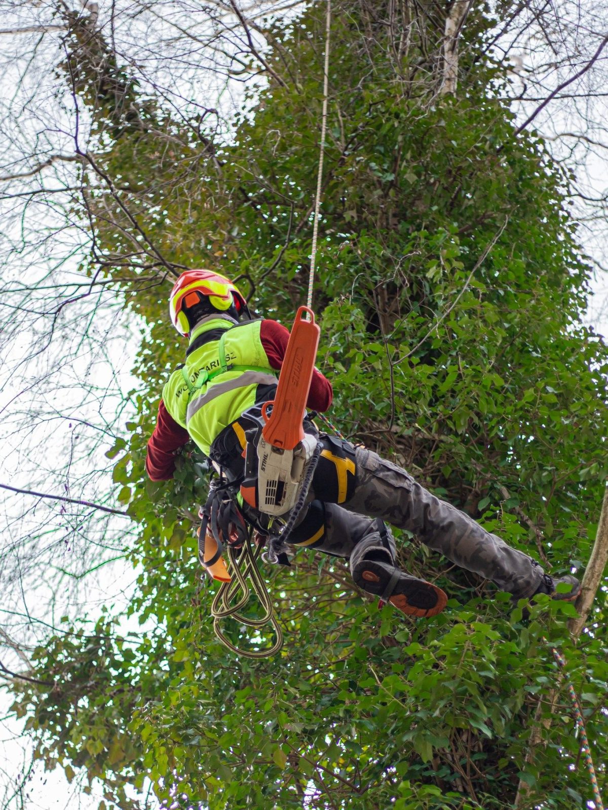 490977420_1111340137673044_1845794012416423039_n